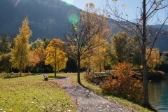 16-Herbst_Lungern